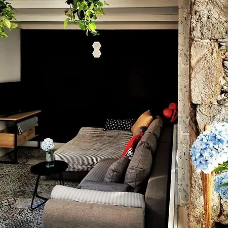 Circo Wave. Loft En El Mar